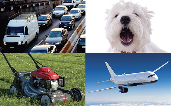 Image collage of traffic, a dog, lawn mower and an airplane to showcase the level of noise reduction of Anlin glass.